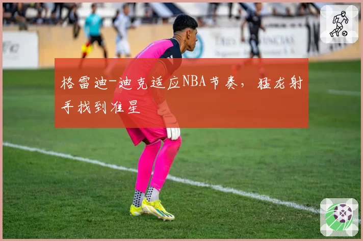 格雷迪-迪克适应NBA节奏，猛龙射手找到准星