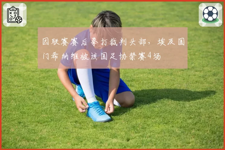 因联赛赛后拳打裁判头部，埃及国门希纳维被该国足协禁赛4场