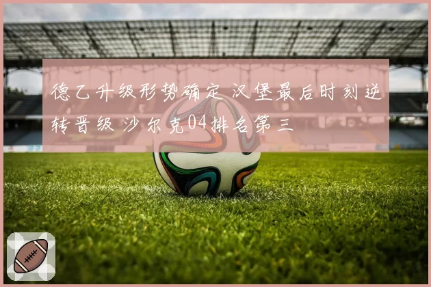 德乙升级形势确定 汉堡最后时刻逆转晋级 沙尔克04排名第三