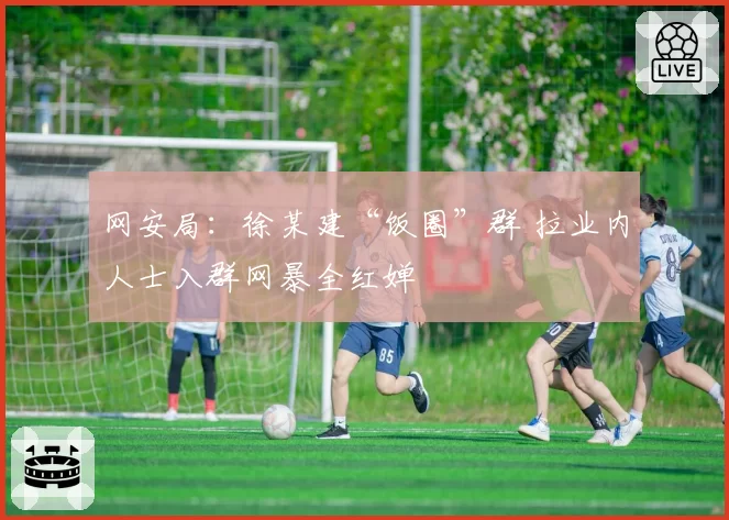网安局：徐某建“饭圈”群 拉业内人士入群网暴全红婵