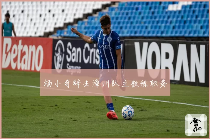 杨小奇辞去漳州队主教练职务